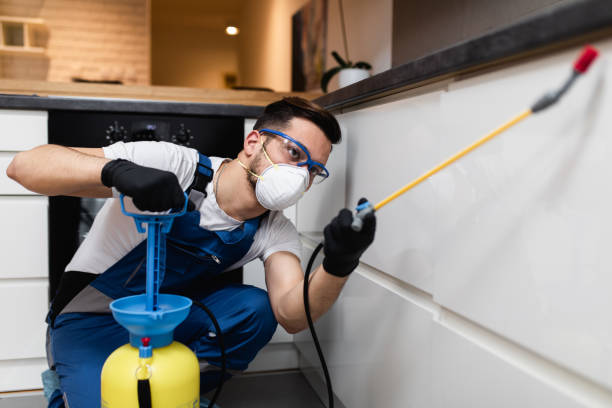Best Local Pest Control Services  in Bude, MS