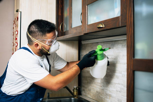 Best Local Pest Control Services  in Bude, MS