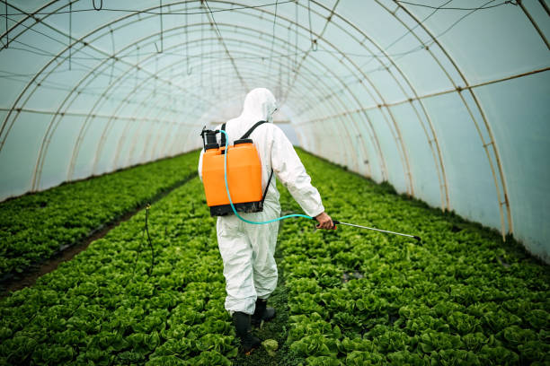 Best Pest Removal Services  in Bude, MS