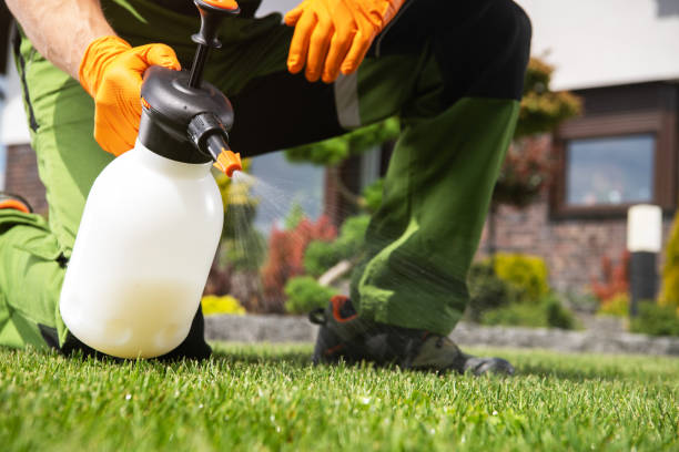 Best Mosquito Control Services  in Bude, MS