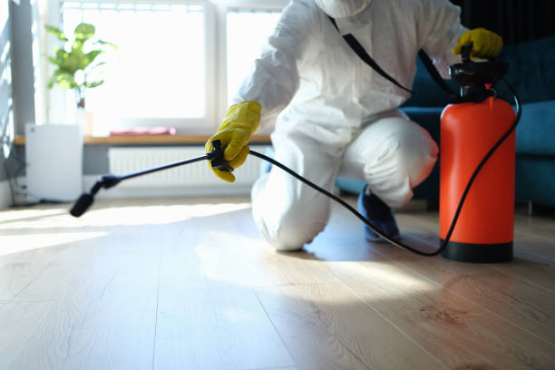 Best Wasp Removal Services  in Bude, MS