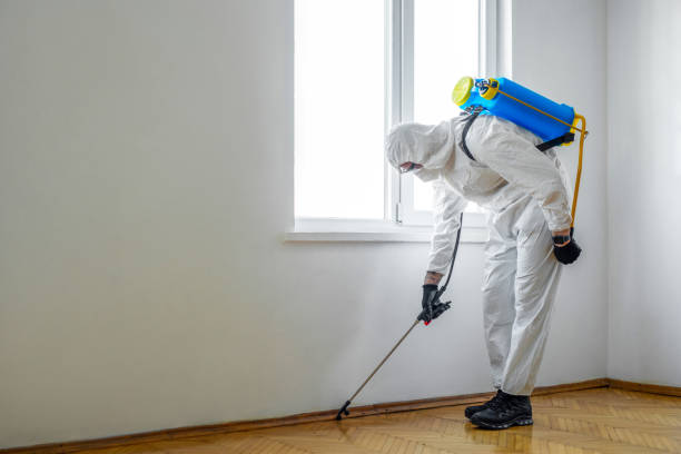 Best Pest Prevention Services  in Bude, MS