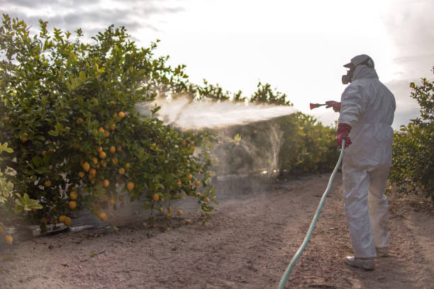 Best Wildlife Control Services  in Bude, MS