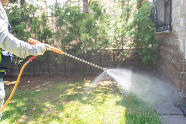 Best Pest Control Treatment  in Bude, MS