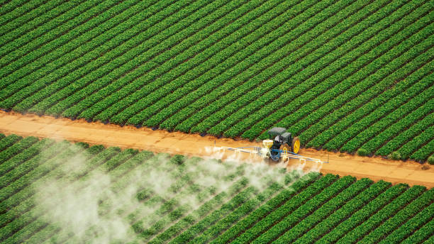 Best Pest Inspection Near Me  in Bude, MS