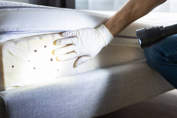 Best Cockroach Control Services  in Bude, MS