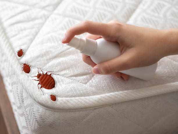 Best Mosquito Control Services  in Bude, MS