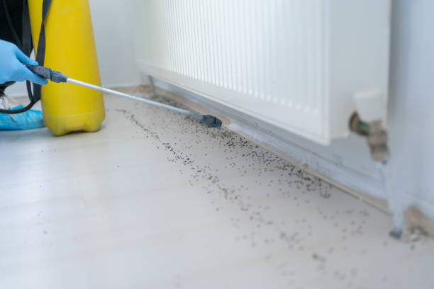 Pest Control for Restaurants in Bude, MS