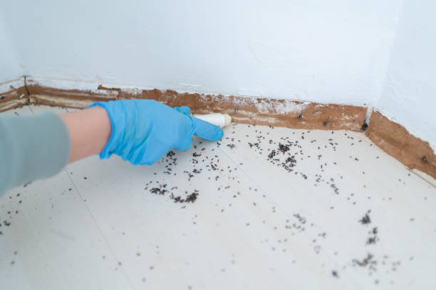 Best Wasp Removal Services  in Bude, MS