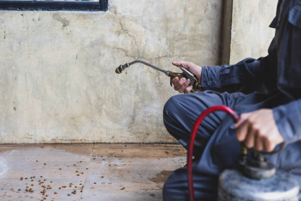 Best Rat Extermination Near Me  in Bude, MS