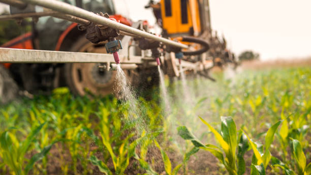 Best Pest Removal Services  in Bude, MS